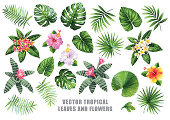 Tropical leaves and flowers collection. Floral illustration. Vector design isolated elements on the white background.