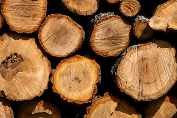 Close up of Stacks of Logs 