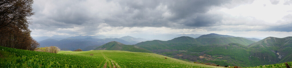 Obraz premium Coscerno mountain panoramic view in a cloudy spring day, Sant'Anatolia di Narco, Valnerina, Umbria, Italy
