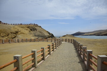 Fototapeta na wymiar A dirt track with a fence in the Paracas National Park. Peru
