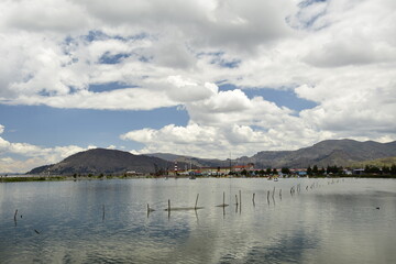 Wooden poles for fishing along the shore on Lake Titicaca. Puno, Peru