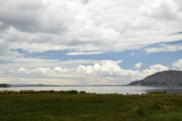 Green tall grass on the shore of Lake Titicaca. Puno, Peru