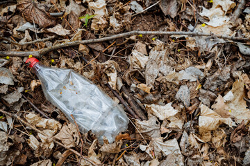 A plastic bottle lies in the forest in dry leaves, pollution of nature, household waste, recyclable raw materials, pollution of the planet earth. ecology trouble