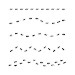 Ant trail. Line of working ants set. Black insect colony. Vector illustration isolated on white.