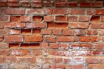 Ancient brick masonry made of red clay bricks with white salt protruding. Background