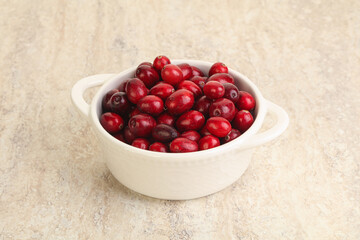 Ripe sweet tasty cranberry in the bowl
