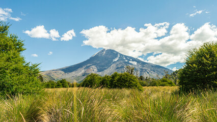Volcano in the background and meadows surrounding it on a sunny day in Lanin National Park. Argentina