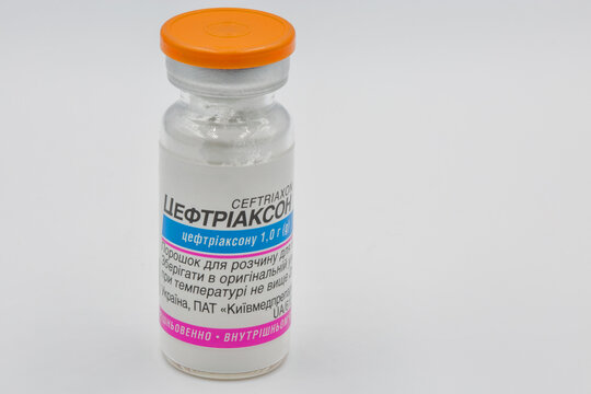 Dry powder antibiotic ceftriaxone in flask for injection closeup.