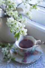 A cup of tea, a cherry branch in a glass vase stand on the window. Spring still life in vintage style.