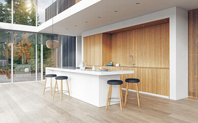 modern kitchen interior.