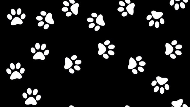 Paw prints on a black background are isolated. Footprints of a walking animal. 