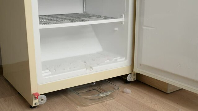 Defrosting the freezer, annual maintenance of the refrigerator