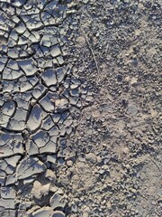 dry, cracked ground during a drought, background - obrazy, fototapety, plakaty