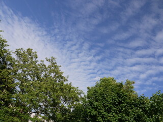 Obraz premium In der Natur