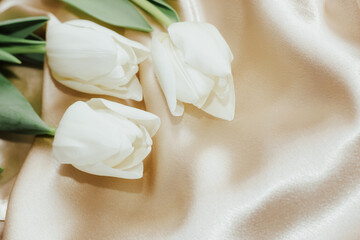 Bouquet of white tulips on silk golden nude satin background.
