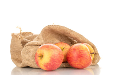 Four juicy organic apples with a jute bag, close-up, isolated on a white background.