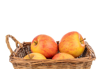 Four juicy organic apples in a basket, close-up, isolated on a white background.