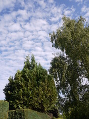 Fototapeta premium In der Natur