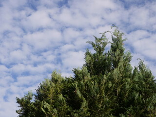 Obraz premium In der Natur