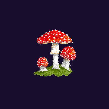 Pixel mushroom. Forest mushroom isolated on dark background. Vector