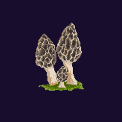 Fototapeta na wymiar Pixel mushroom. Forest mushroom isolated on dark background. Vector