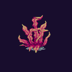 Pixel coral. Sea plant isolated on dark background. Vector