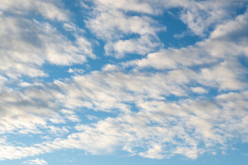 Fototapeta premium ceil bleu parsemé de nuage