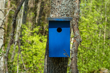 a beautiful blue bird house in a tree in the park