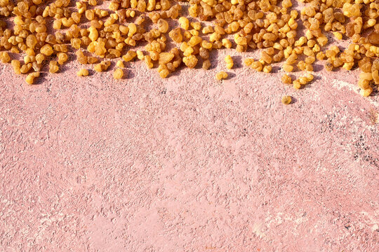 Frankincense resin on a pink background with copy space