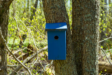 a beautiful blue bird house in a tree in the park.