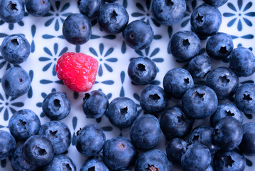 Blaubeere (Vaccinium myrtillus) mit Himbeere (Rubus idaeus)