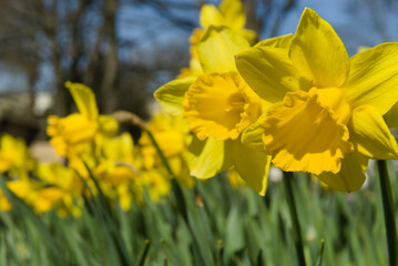 Wiosna w Kołobrzegu