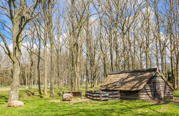 Little wooden cottage on the brink square in Zuidvelde, Netherlands