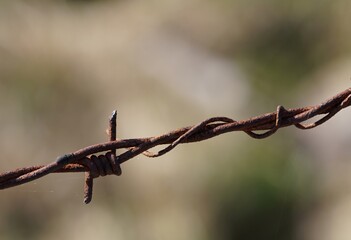 rusty barbed