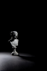 busto estatua de grecia en marmol claro oscuro para museo cesar roma