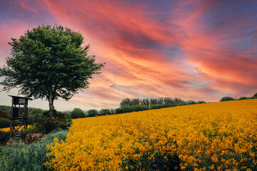 Obraz premium Adobe Photoshop Clouds