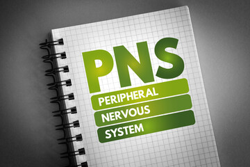 PNS - Peripheral Nervous System acronym on notepad, medical concept background