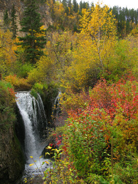 Roughlock Falls - Black Hills of South Dakota -- A waterfall image taken in the Black Hills of South Dakota during October's splash of fall colors