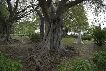 Parco di Palermo