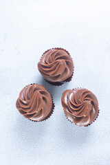 Rum flavored chocolate cupcake displayed on gray background