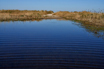 a puddle with blue water in front of dunes at the North Sea coast in Schillig, Germany