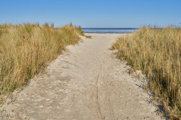 Fototapeta na wymiar path in the dunes in Schillig, North Sea coast, Germany