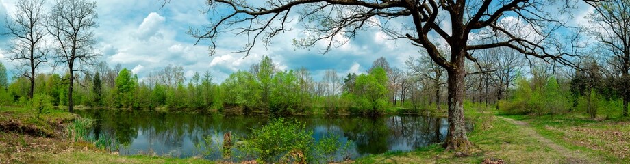 Panorama of forest lakes in spring, young leaves and freshly blossomed buds of trees and shrubs