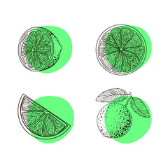 Set of four limes - round slices, on a twig, a half and a piece in the style of black doodles on a green spot. Citrus. Minimalistic style. Illustration isolated on white background