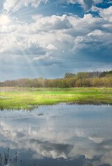 amazing Podlasie, spring in the Narew valley, landscape in May