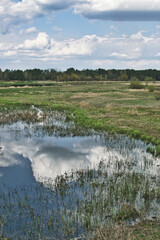 amazing Podlasie, spring in the Narew valley, landscape in May