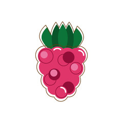 Vector illustration of raspberry in flat style. Summer sticker.