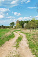 Fototapeta na wymiar Spring landscape in Podlasie, sunny May day