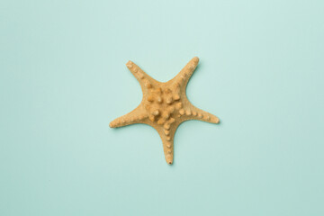 Starfish on color background, top view