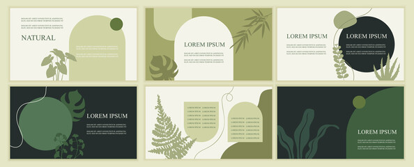 Set of abstract natural templates for presentation. Green leaves and plants. Horizontal banners. Vector flat illustrations. EPS 10. Organic cosmetic - 504270365